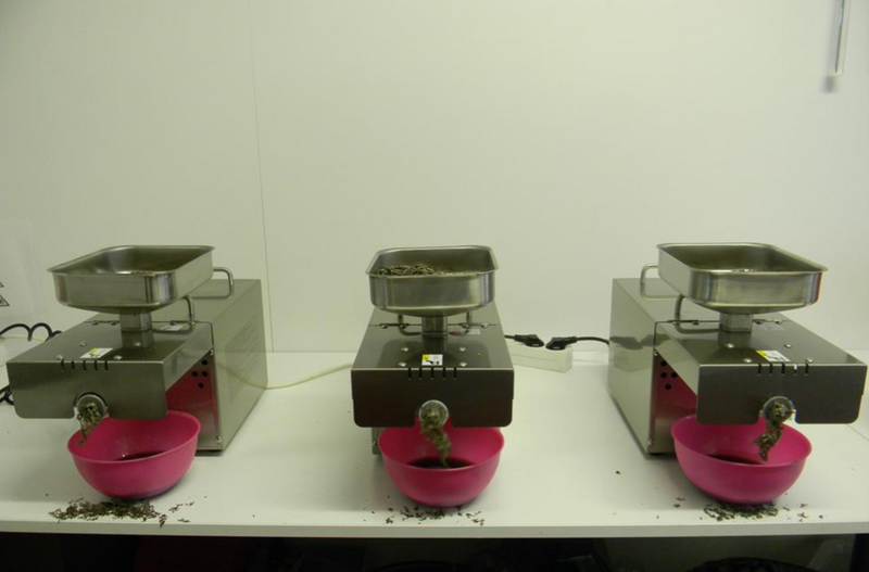 Presa ulei miez de nuca maruntit 220V 0.4 kw